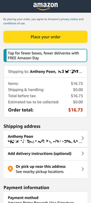 A screenshot of the Payments Portal checkout experience on a mobile browser.